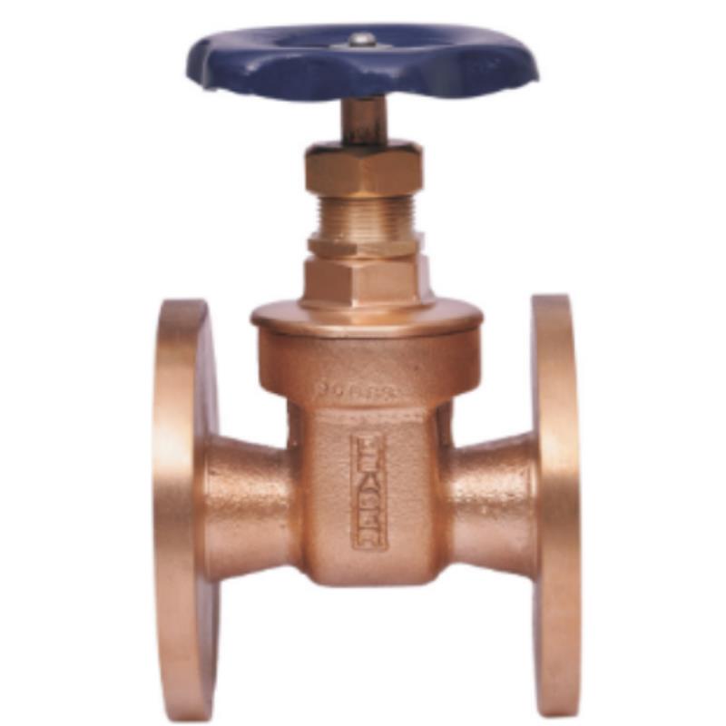 Leader Gun Metal Gate Valve ISI Marked, flanged