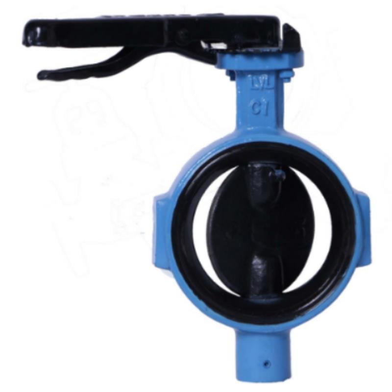 Leader CI Butterfly Valve PN-16 ISI Marked