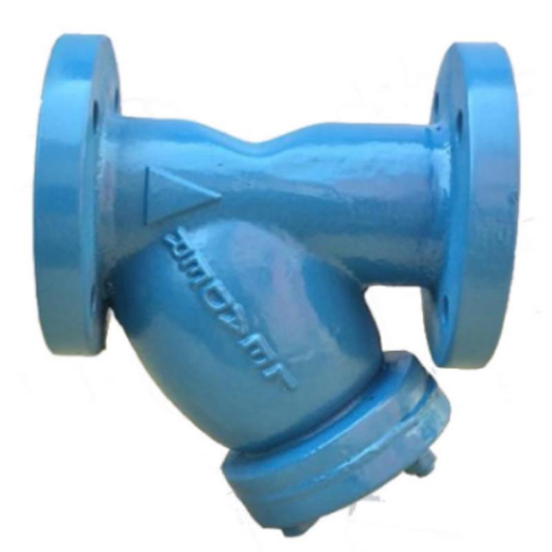 Leader CI Y type Strainer (Flanged)