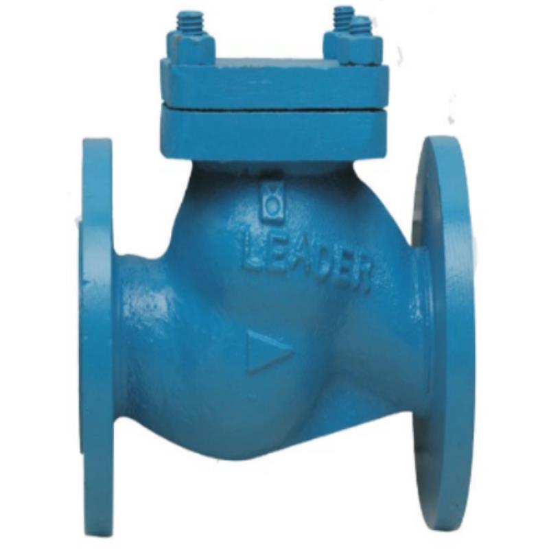 Leader CI NRV Horizontal PN-16 (flanged)