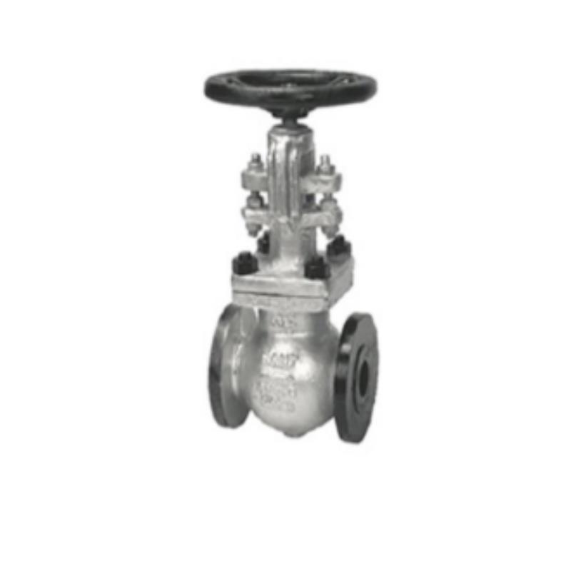 Sant Cast Steel IBR Globe Valve Class 300