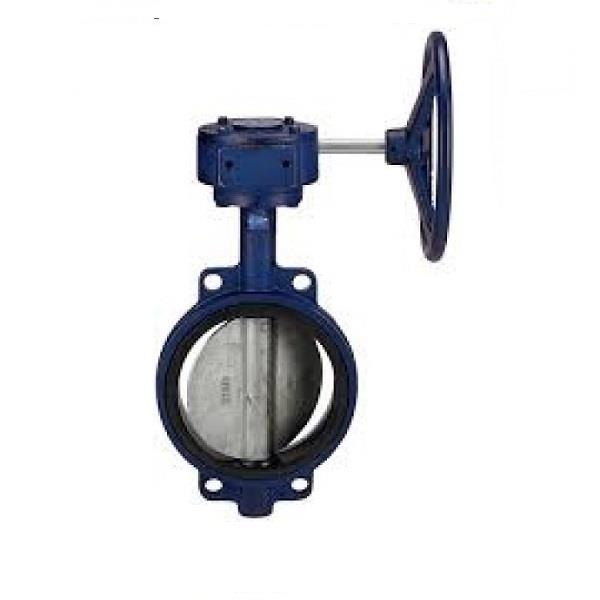 Castle CF-8 (SS 304) Disc Butterfly Valve (Gear Type) PN-10