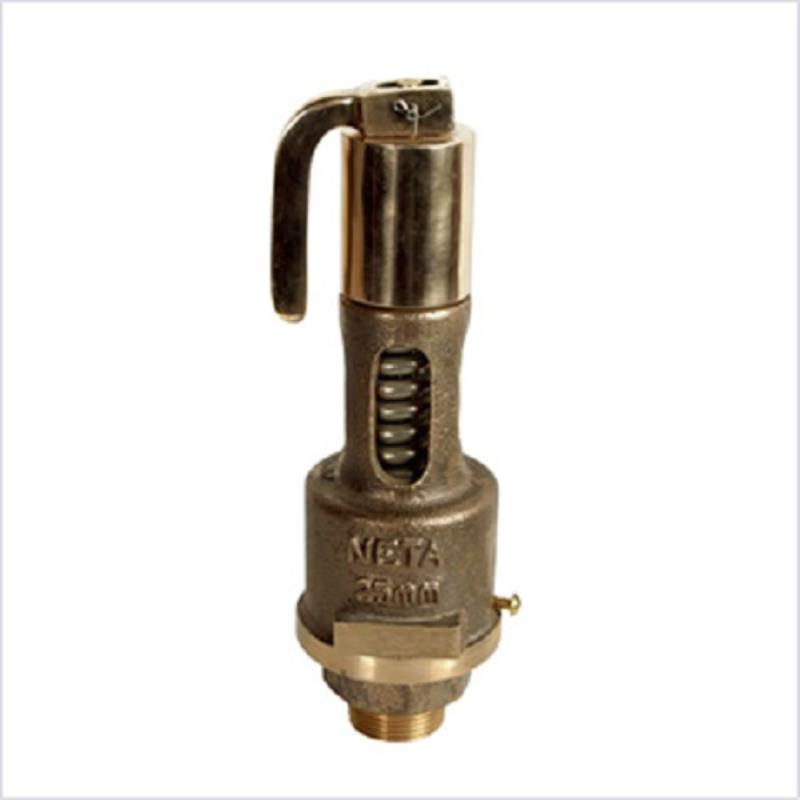 WJ Bronze IBR Spring Loaded Angle Safety Valve (Screwed)