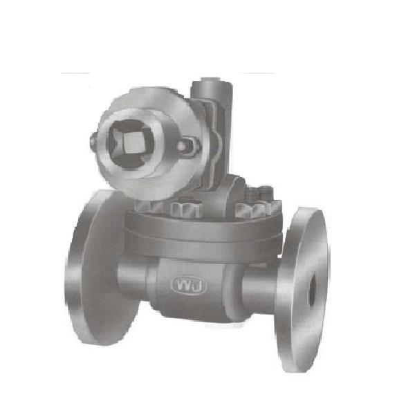 WJ Cast Carbon Steel (A-216 Gr Wcb) Parallel Slide Blow Off Valve