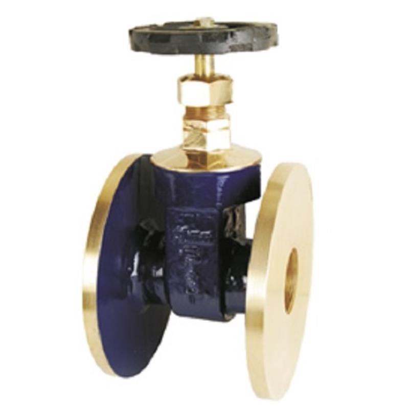 Sant Gun Metal Gate Valve (Flanged)