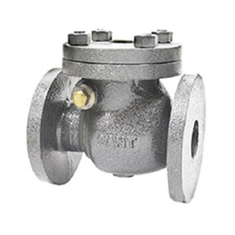 Sant CI IBR Swing Check Valve Class 125