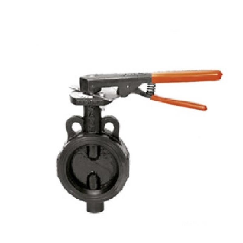 Sant CI Butterfly Valve PN 16, CR21A