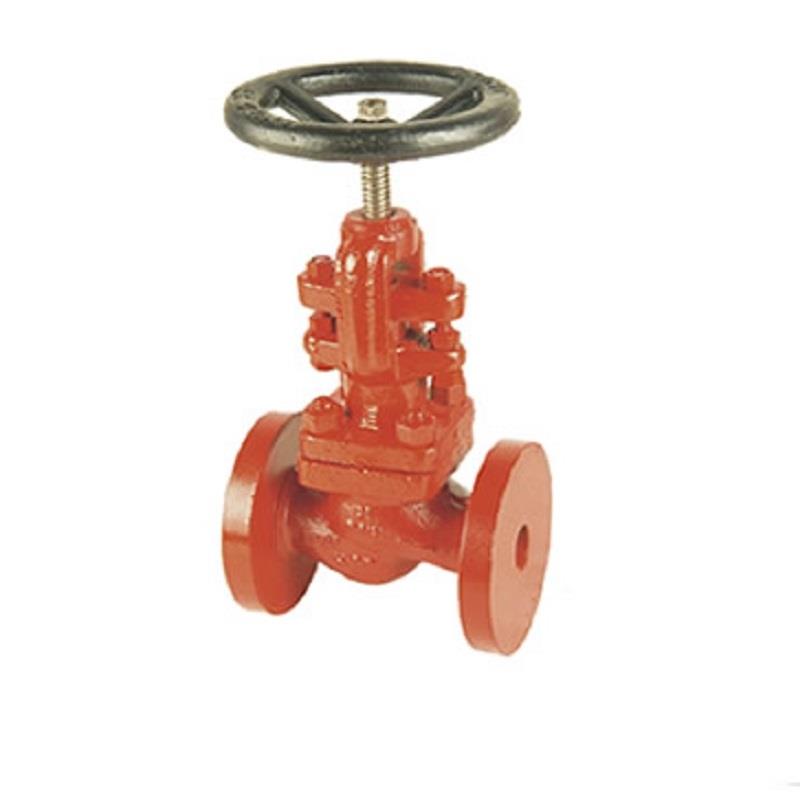 Sant Cast Steel IBR Globe Valve PN-40