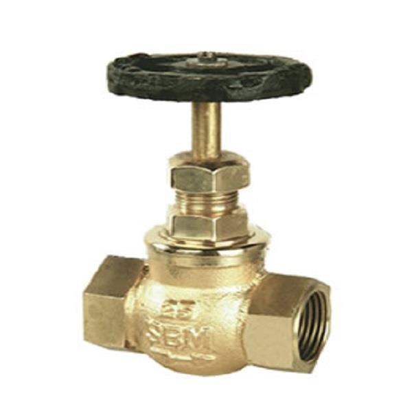 SBM Bronze Globe Valve