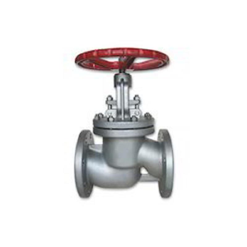 WJ Cast Carbon Steel IBR Globe Valve Class-600