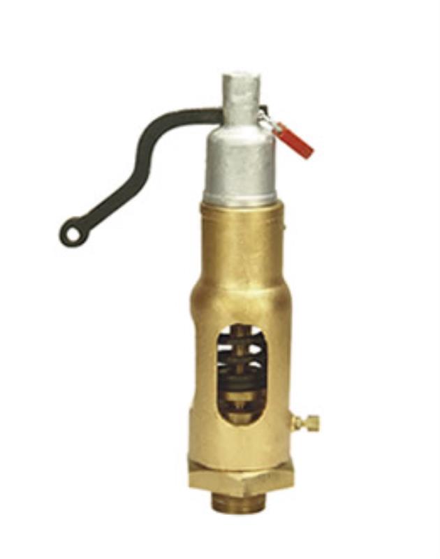 Sant Bronze IBR Safety Valve (screwed)