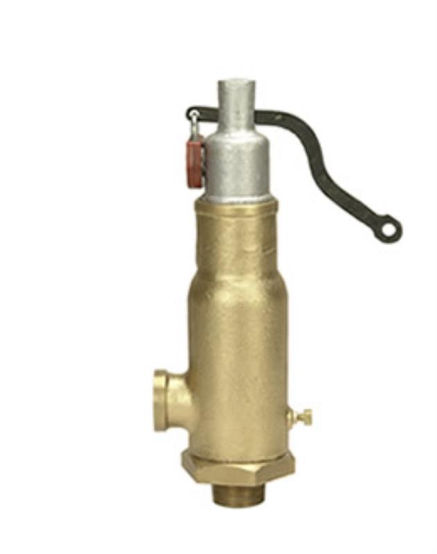 Sant Bronze IBR Right Angle Safety Valve