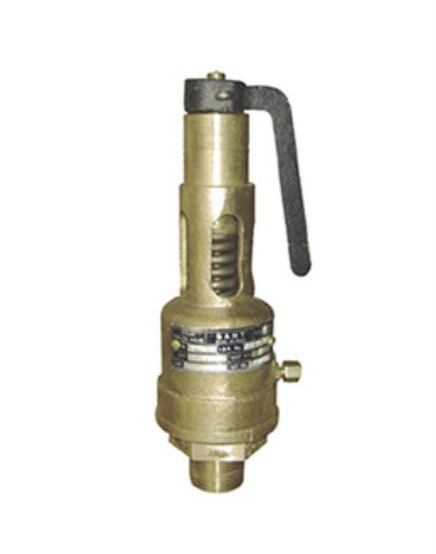 Sant Bronze IBR Safety Valve Straight Type