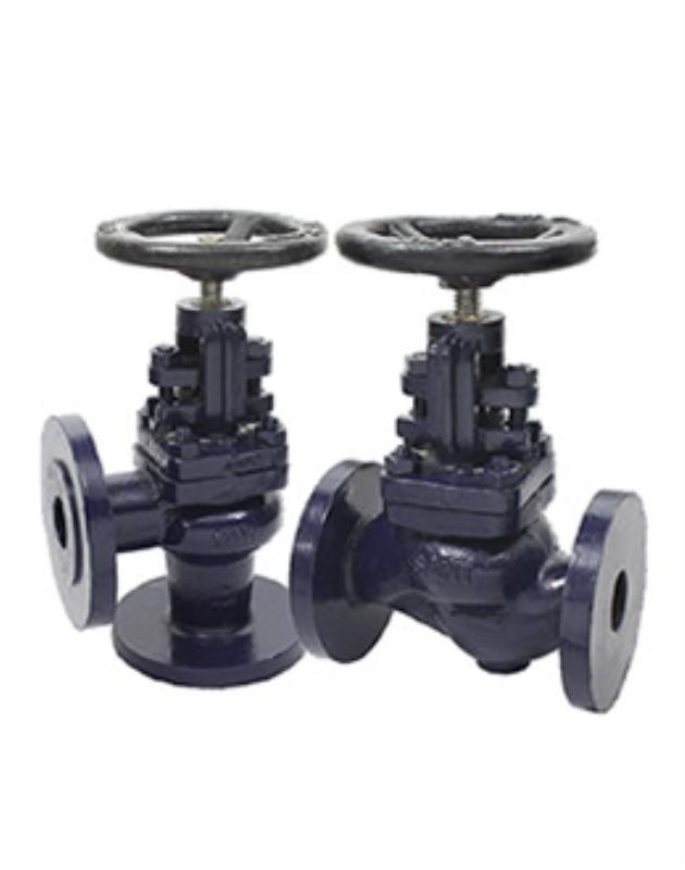 Sant CI IBR Stop Cum Non Return Valve