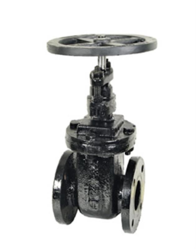 Sant CI Wedge Sluice Valve 