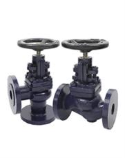 Check Valve (NRV)