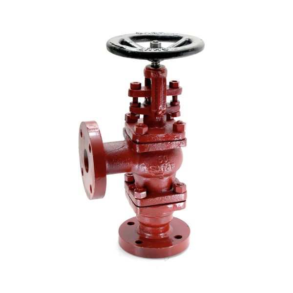 Feed Check valve