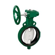 Butterfly Valve