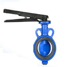 Butterfly Valve