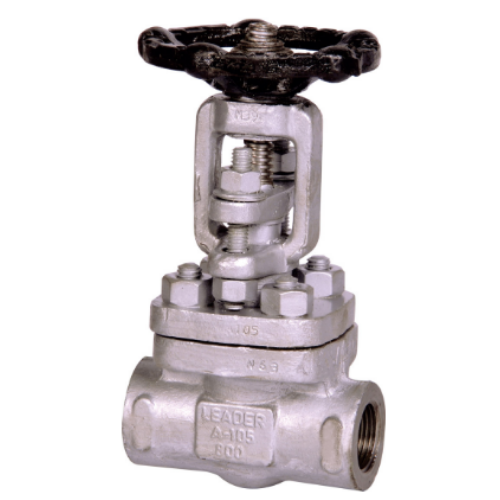 Globe Valve