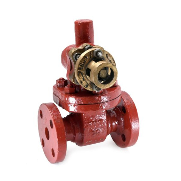 Blow Off/ Blow Down Valve