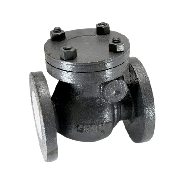 Swing Check Valve