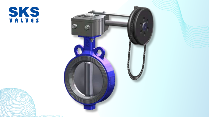 What is a Chain Pulley Butterfly Valve?