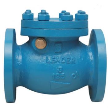 Leader CI Swing Check Valve GM/SS Parts | LEADER