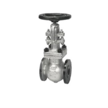 Sant Cast Steel IBR Globe Valve Class 300 | SANT