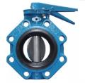 Audco CI Butterfly Valve Nitrile (PN 10) Gear Operated