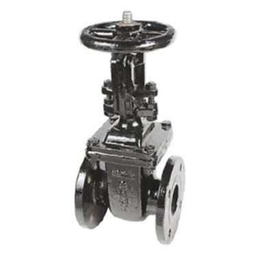 Sant CI Wedge Gate Sluice Valve PN-16 | SANT