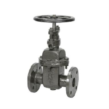 Sant CI Wedge Gate Sluice Valve PN-10 | SANT