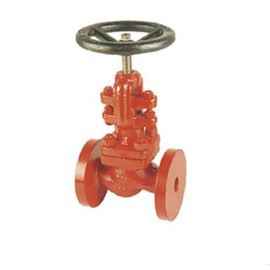 Sant Cast Steel IBR Globe Valve PN-40 | SANT