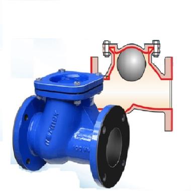 Normex (B-02) CI Rubber Lined Check Valve (NRV) Flange End | NORMEX