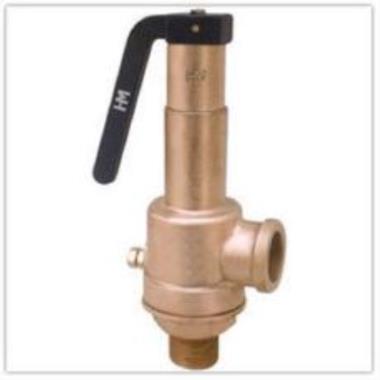 WJ Bronze IBR Spring Loaded Safety Valve (CI Chamber) | WJ