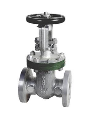 Sant Cast Steel IBR Gate Valve | SANT